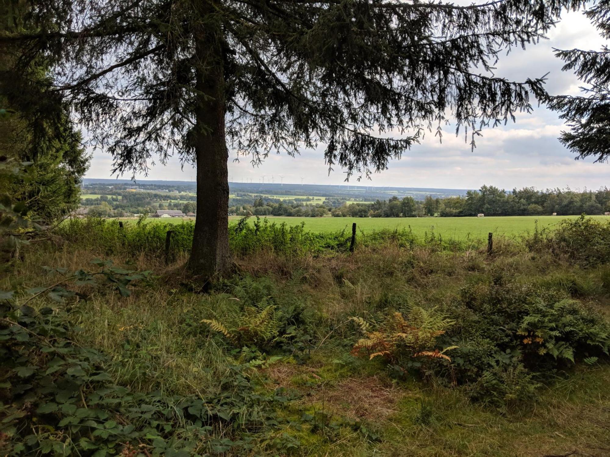 Victorhof Landurlaub Deine Auszeit Im Gruenen, Umgeben Von Wald & Wiesen Monschau Eksteriør bilde